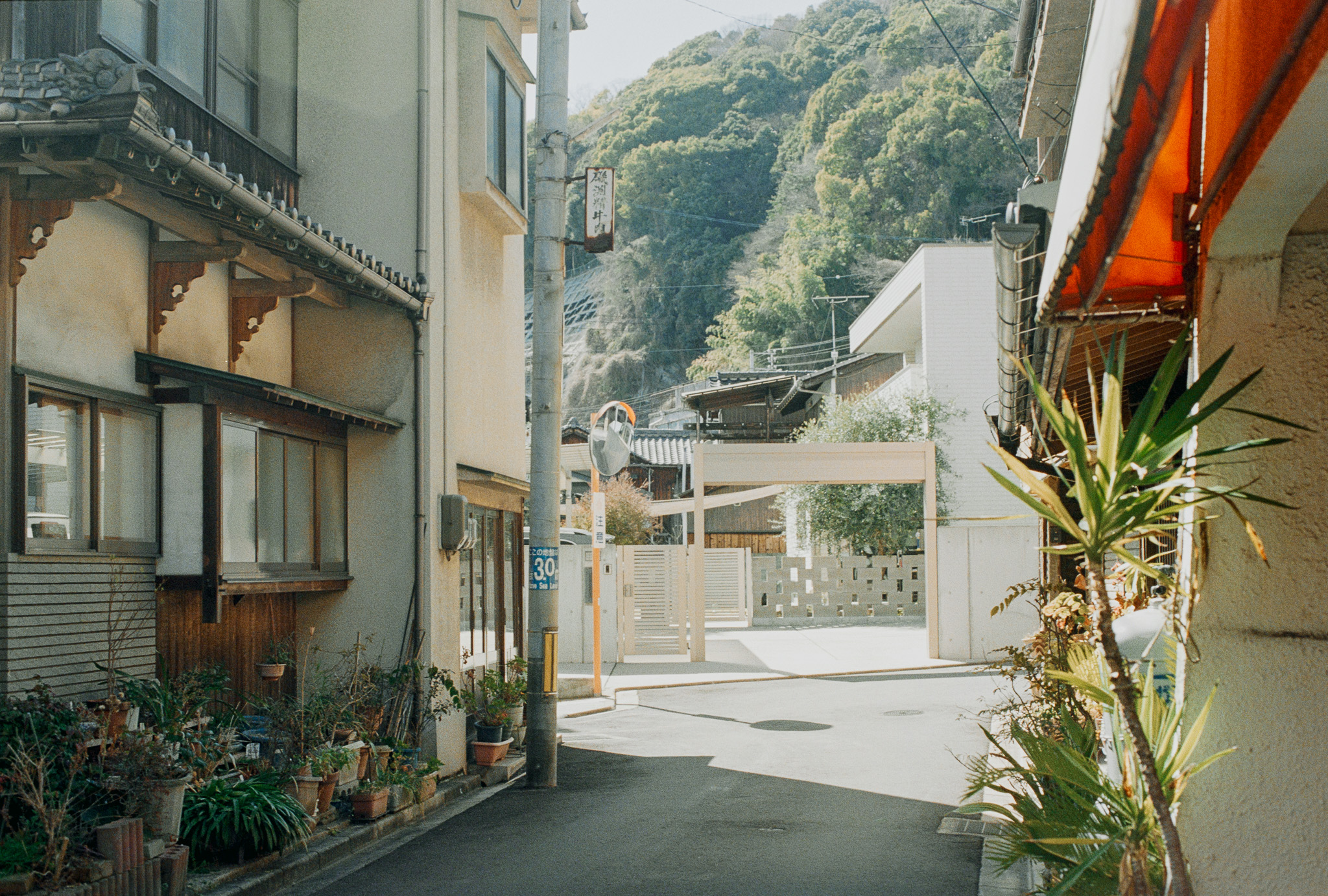 記事の写真